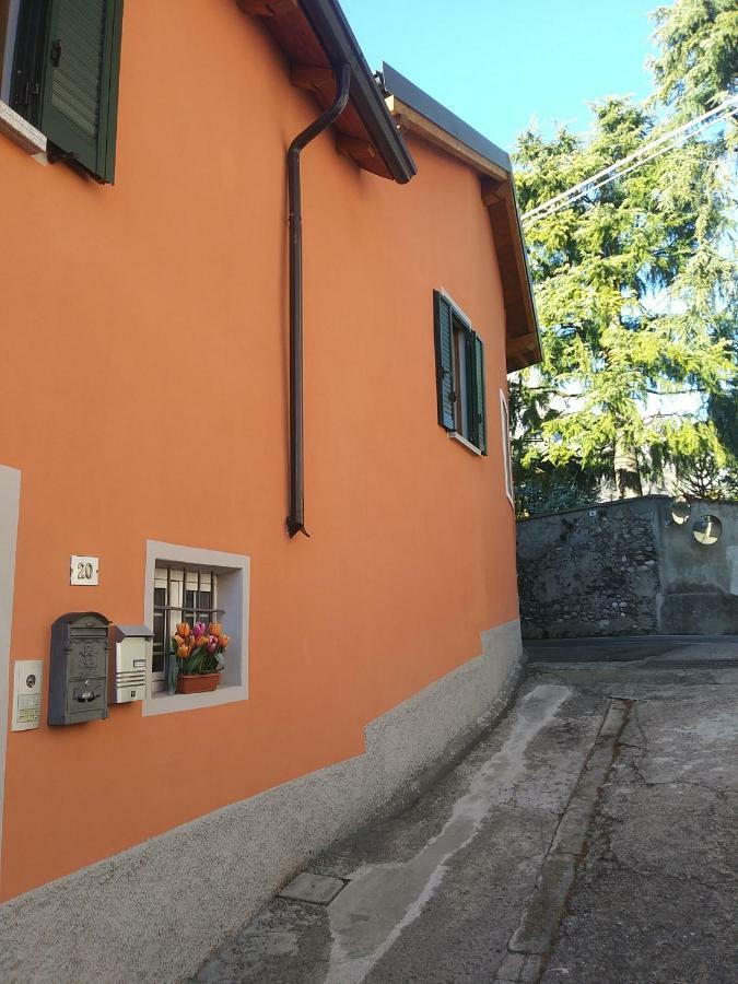 Willa Casa Del Cedro - Cedar House Lecco Zewnętrze zdjęcie